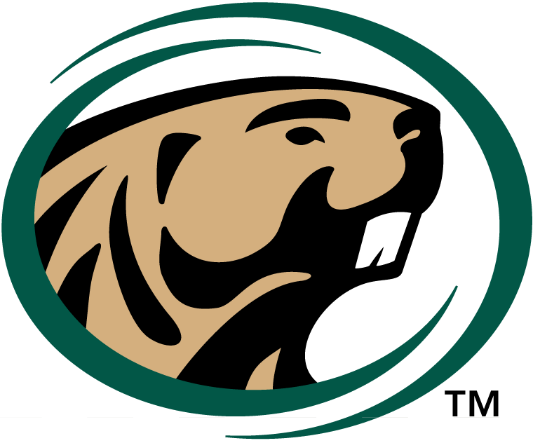 Bemidji State Beavers 2004-Pres Primary Logo DIY iron on transfer (heat transfer)